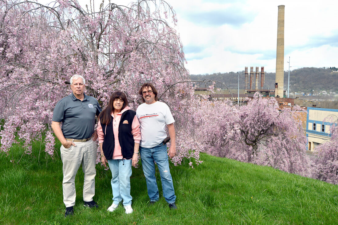Mingo Junction's cherry blossom park leaving lasting legacy | News